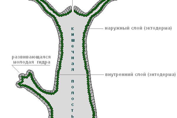 Black sprut ссылка на сайт